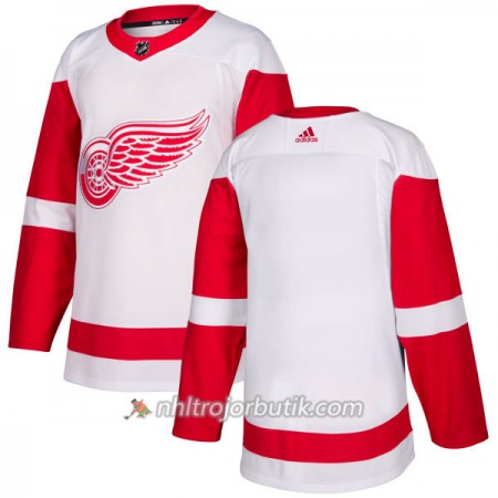 Män Ishockey Detroit Red Wings Tröja Blank Adidas 2017-2018 Vit Authentic
